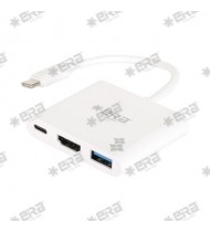 USB Type-C to 3 in 1 Multiport Hub ER2017SUC3