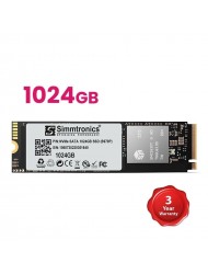 1024GB NVMe NAND SSD (S970P)